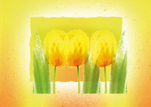 Gula blommor - dubbelt kort