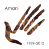 Amani 1989-2012 CD